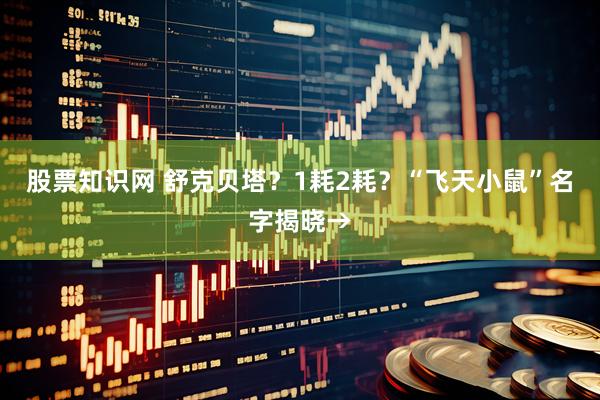 股票知识网 舒克贝塔？1耗2耗？“飞天小鼠”名字揭晓→