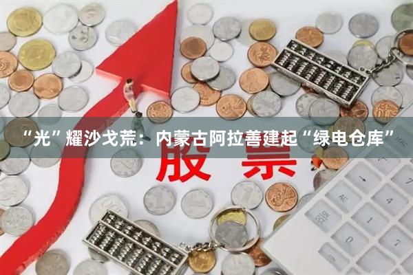 “光”耀沙戈荒：内蒙古阿拉善建起“绿电仓库”