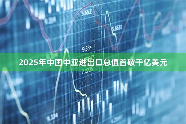 2025年中国中亚进出口总值首破千亿美元