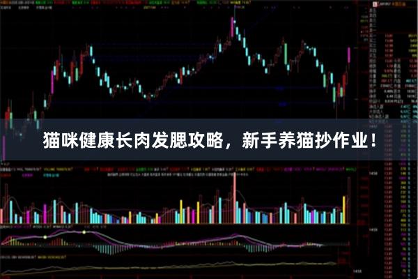 猫咪健康长肉发腮攻略，新手养猫抄作业！