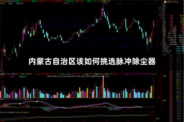 内蒙古自治区该如何挑选脉冲除尘器