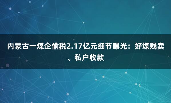 内蒙古一煤企偷税2.17亿元细节曝光：好煤贱卖、私户收款