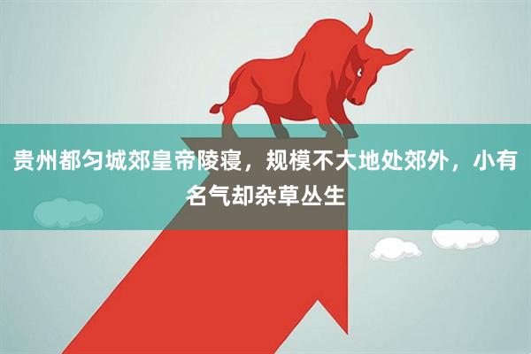 贵州都匀城郊皇帝陵寝，规模不大地处郊外，小有名气却杂草丛生